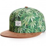 Gorra-Snapback-CAYLER-&-SONS-C&S-2-Tone-Kush-Cap-green-mc-brown-suede-CAY-SS14-41-01-Disaster-Street-wear-01